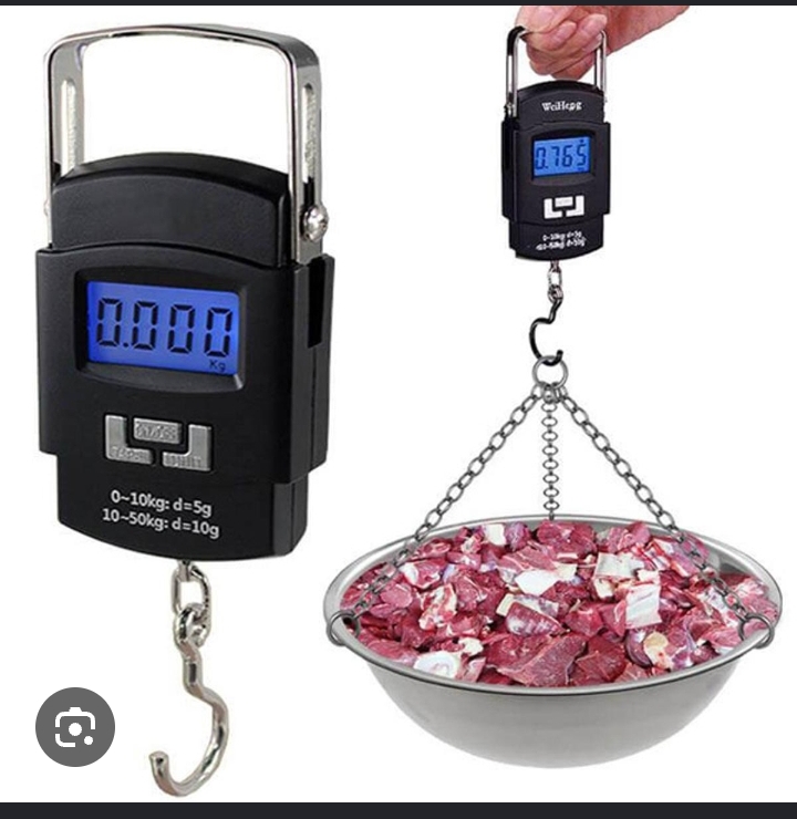 Digital scale